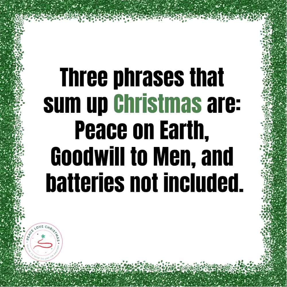 funny Christmas quote