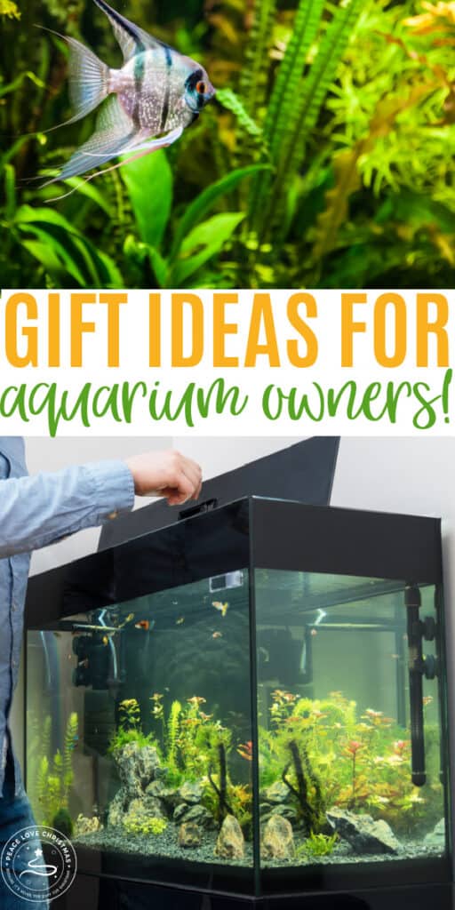 gift ideas for aquarium owners