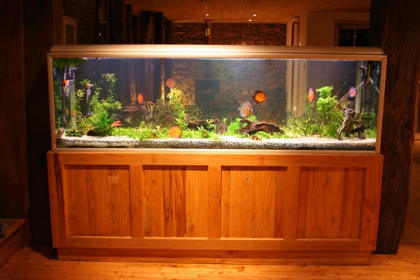 gift ideas for people who love aquariums