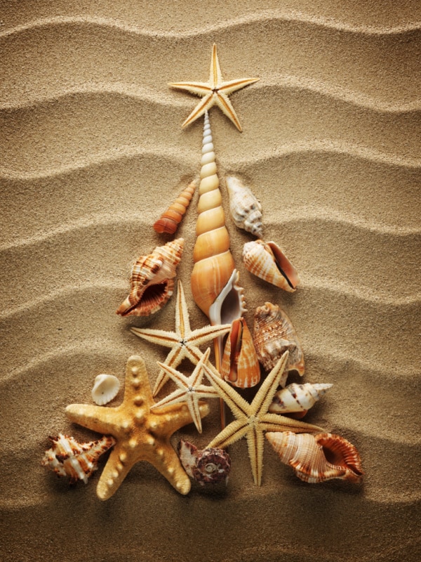 christmas tree made out of shells in the sand