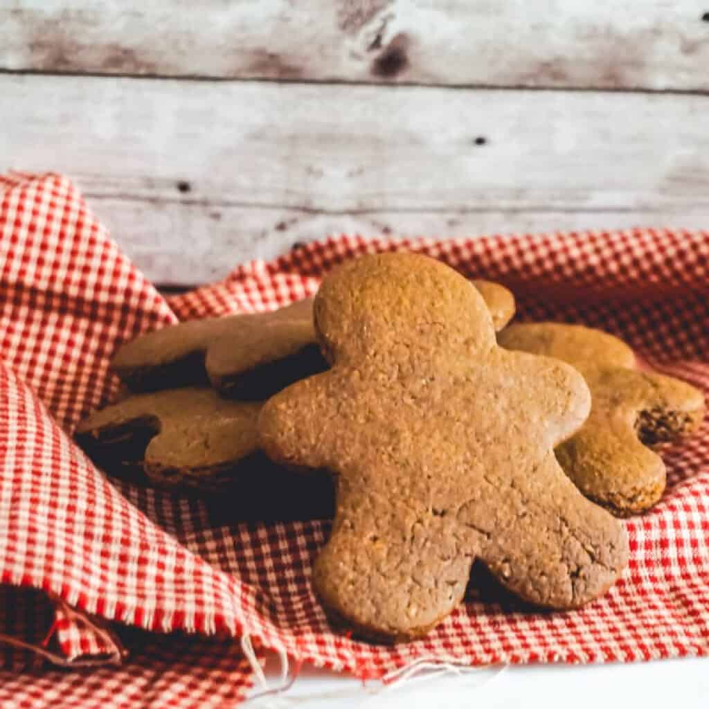 Close up gingerbread