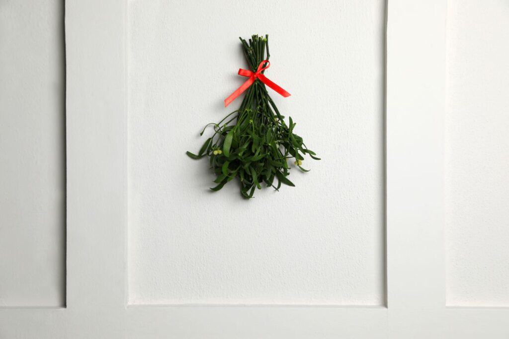 mistletoe hanging on a cabinet door