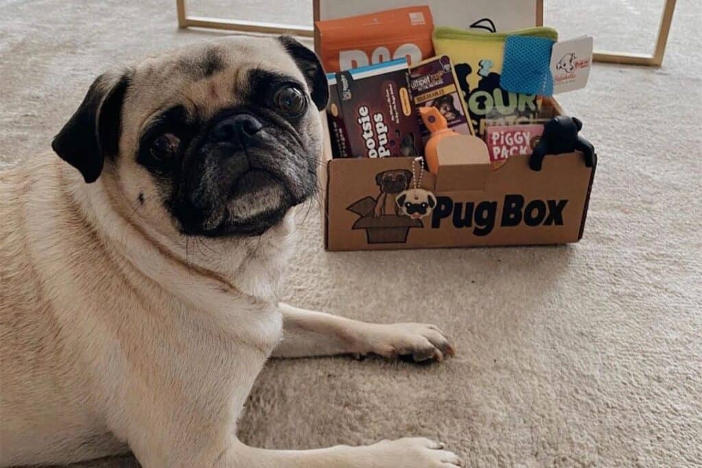 pug box of monthly gifts