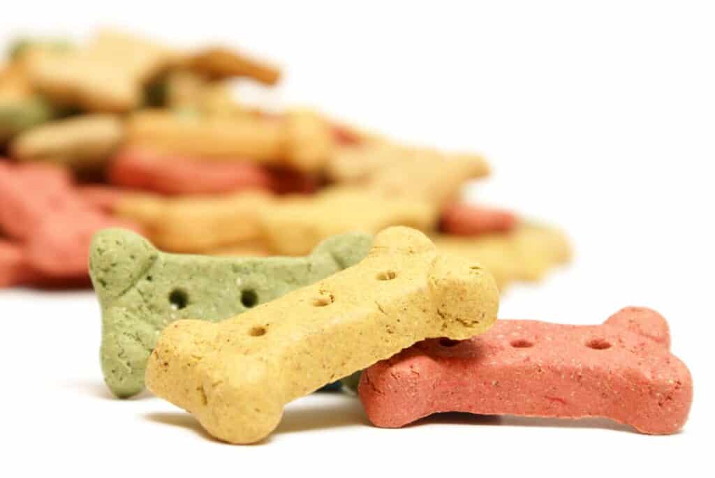 dog biscuits