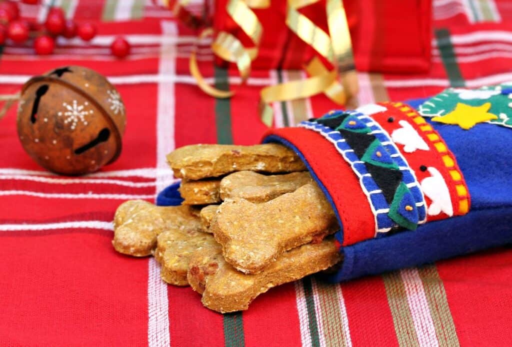 stocking filled with dog treats