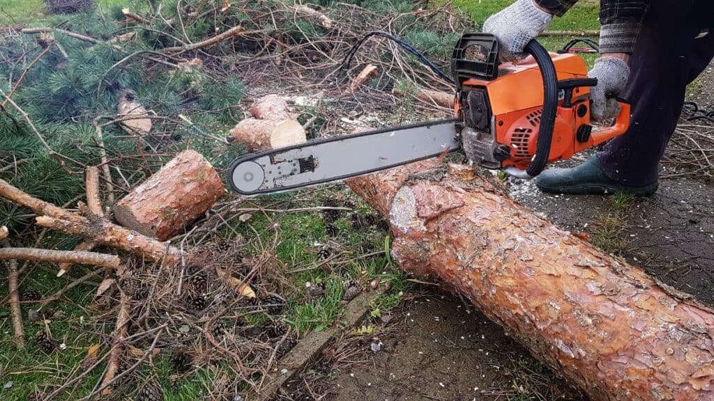 someone using a chainsaw to cut up an old tree