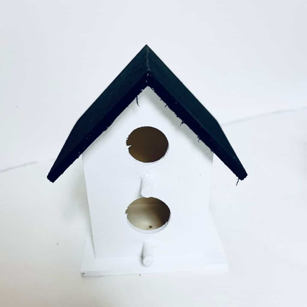 painted birdhouse