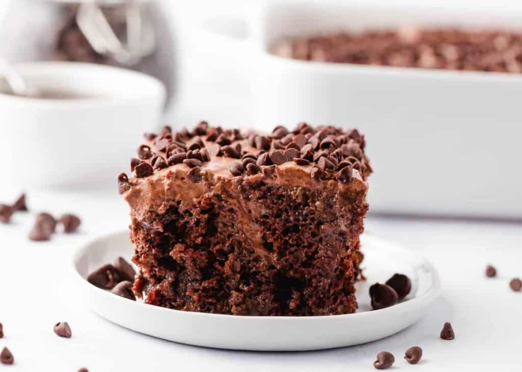 Chocolate cake on a plate with mini chips