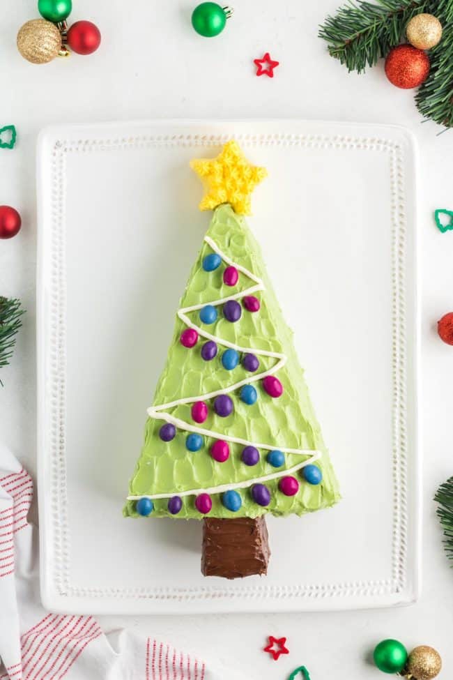 Christmas Tree shaped cake