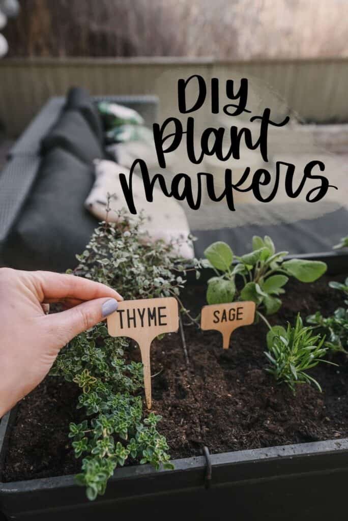 Wooden Plant Markers with Cricut Joy